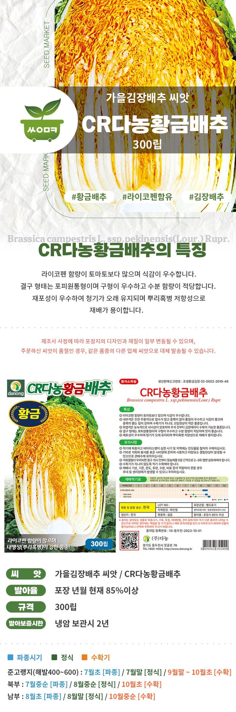 산들마켓,씨앗마켓님의 장터 판매 상품 [노란색 가을김장배추씨 종자 뿌리혹병 저항성 다농 CR황금배추 씨앗 300립] 첨부 사진