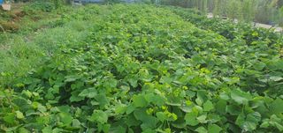 김철현님의 작성글 사진