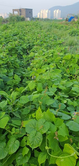 김철현님의 작성글 사진