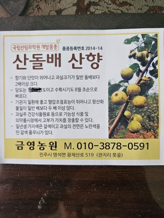 금영님의 배 · 영농일지 작성글 사진