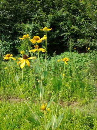 한박팜 한준운님의 자유주제 · 자유게시판 작성글 사진