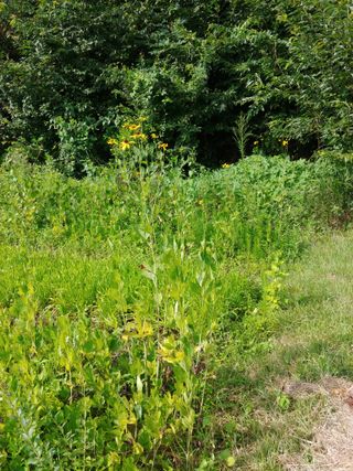 한박팜 한준운님의 자유주제 · 자유게시판 작성글 사진