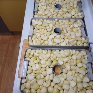 삼성농산님의 마늘 · 일상 작성글 사진