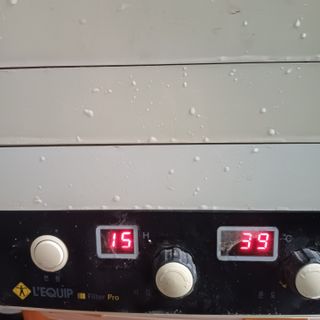 삼성농산님의 마늘 · 일상 작성글 사진