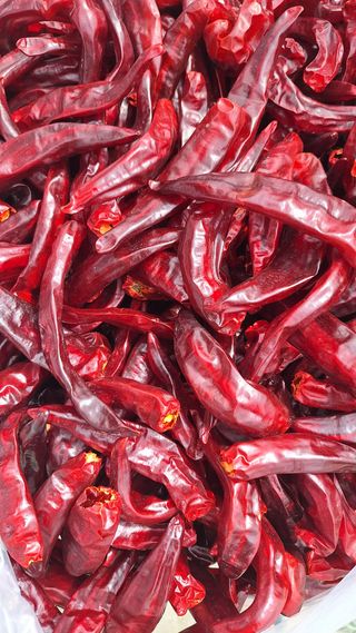 오남현님의 고추 · 시세•판로 작성글 사진