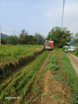박원용님의 벼 · 자유게시판 작성글 사진