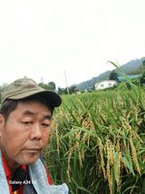 박원용님의 벼·자유게시판 작성글 사진