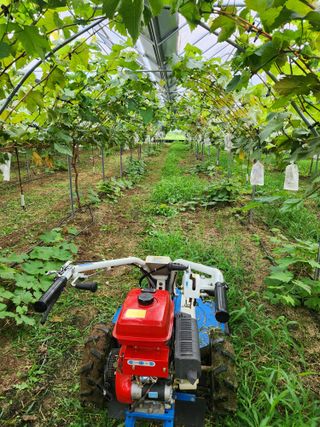 정이오가네농원님의 ☀️8월 농작업 계획 · 참여글 작성글 사진