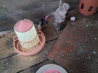 전희분님의 자유주제 · 사진전 작성글 사진