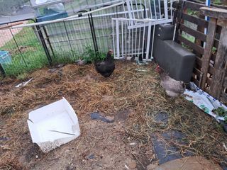 전희분님의 자유주제 · 사진전 작성글 사진