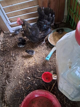 전희분님의 자유주제 · 사진전 작성글 사진