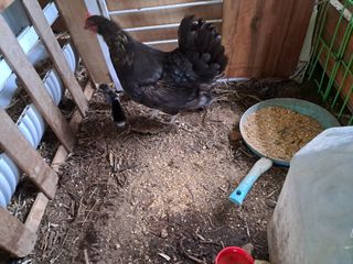 전희분님의 자유주제 · 사진전 작성글 사진