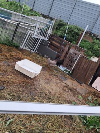 전희분님의 자유주제 · 사진전 작성글 사진