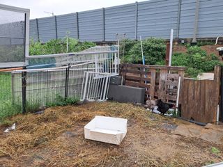 전희분님의 자유주제 · 사진전 작성글 사진