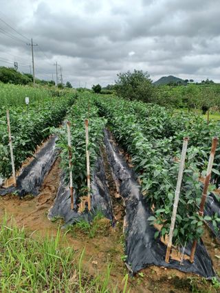 호박18496님의 자유주제 · 자유게시판 작성글 사진