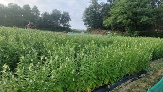 신상우님의 자유주제 · 자유게시판 작성글 사진