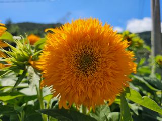 이동순님의 자유주제 · 자유게시판 작성글 사진