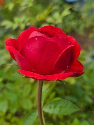 이동순님의 자유주제 · 자유게시판 작성글 사진