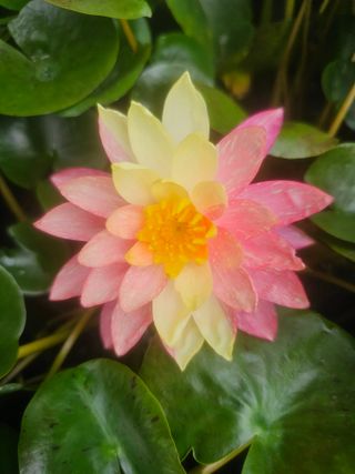 이동순님의 자유주제 · 자유게시판 작성글 사진