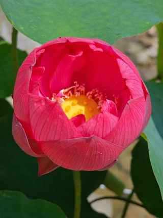 이동순님의 자유주제 · 자유게시판 작성글 사진