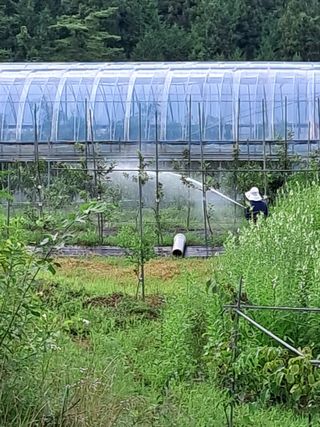알 수 없음님의 사과 · 영농일지 작성글 사진