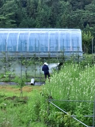 알 수 없음님의 사과 · 영농일지 작성글 사진