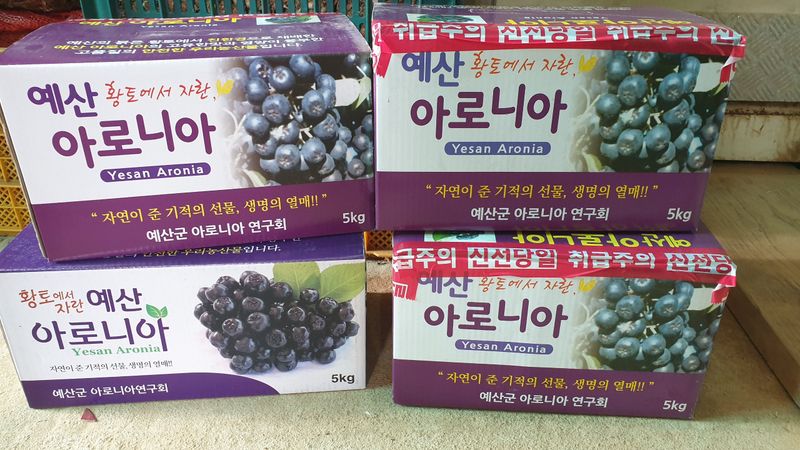 농부아내님의 장터 판매 상품 [[예약주문]최상품 아로니아 5kg] 첨부 사진