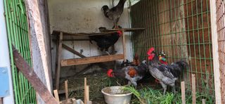 달빛님의 자유주제 · 자유게시판 작성글 사진