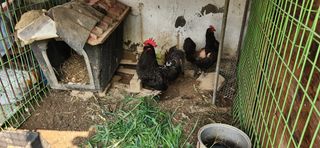 달빛님의 자유주제 · 자유게시판 작성글 사진