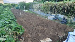 이서구님의 자유주제 · 자유게시판 작성글 사진