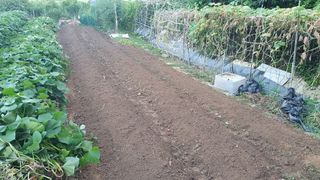 이서구님의 자유주제 · 자유게시판 작성글 사진