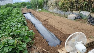 이서구님의 자유주제 · 자유게시판 작성글 사진