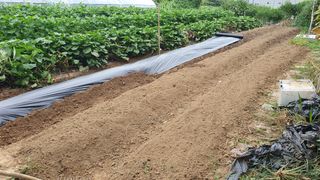 이서구님의 자유주제 · 자유게시판 작성글 사진