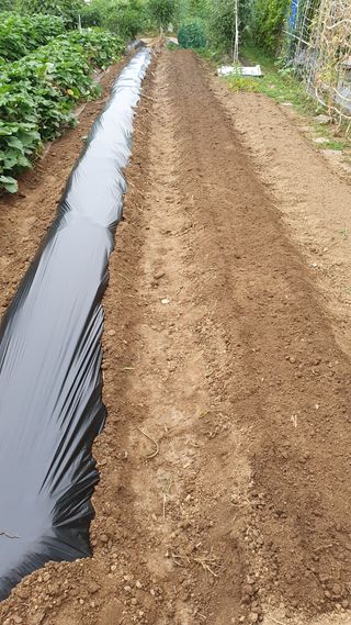 이서구님의 자유주제 · 자유게시판 작성글 사진