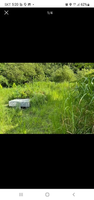 김영복님의 자유주제 · 자유게시판 작성글 사진