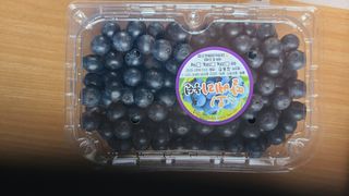 김동만님의 블루베리 · 영농일지 작성글 사진