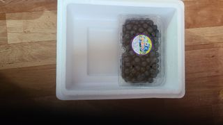 김동만님의 블루베리 · 영농일지 작성글 사진