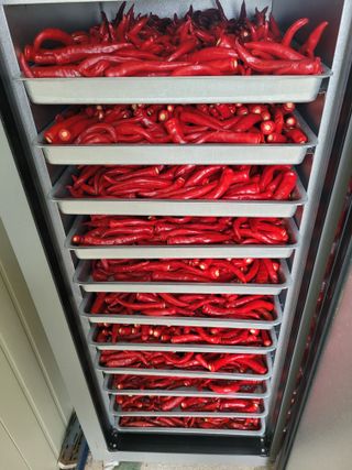 농부(홍)님의 ☀️8월 농작업 계획 · 참여글 작성글 사진