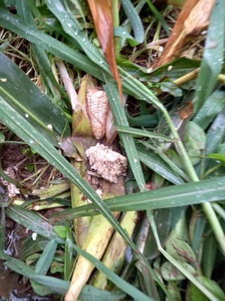 백순분님의 자유주제 · 자유게시판 작성글 사진