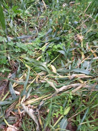 백순분님의 자유주제 · 자유게시판 작성글 사진