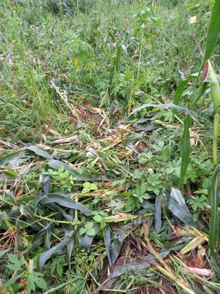 백순분님의 자유주제 · 자유게시판 작성글 사진