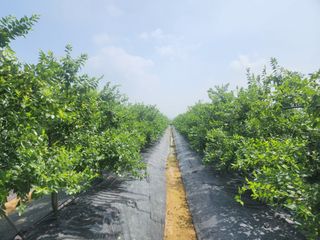 대추 9544님의 자유주제 · 자유게시판 작성글 사진