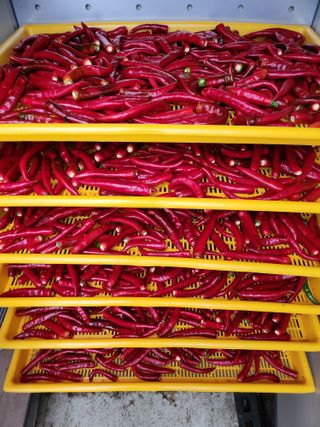 배추21924님의 자유주제 · 자유게시판 작성글 사진