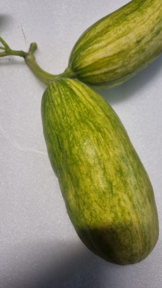 이천용님의 자유주제 · 자유게시판 작성글 사진