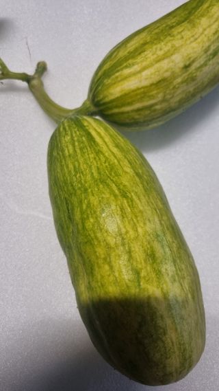 이천용님의 자유주제 · 자유게시판 작성글 사진