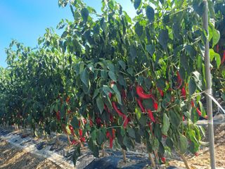 나재흠님의 자유주제 · 사진전 작성글 사진