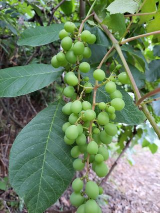 비료대리점님의 자유주제 · 자유게시판 작성글 사진