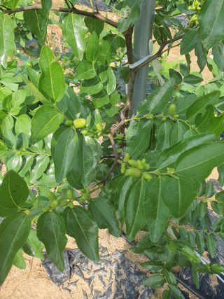 이용순님의 자유주제 · 자유게시판 작성글 사진