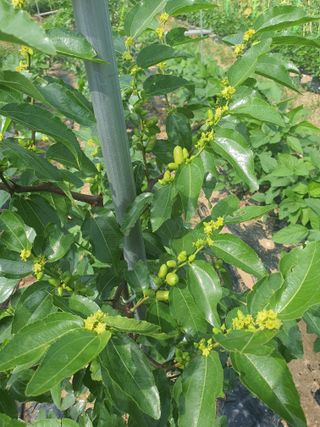 이용순님의 자유주제 · 자유게시판 작성글 사진