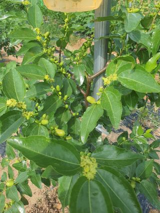 이용순님의 자유주제 · 자유게시판 작성글 사진